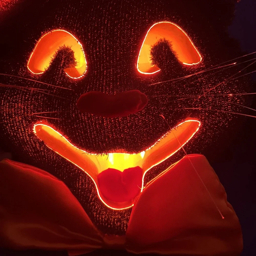 Dept 56 Halloween Black Cat Bow Tie Color Changing FIBER OPTIC Vintage 14x12